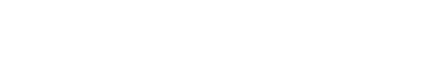 Logo Rei da Info